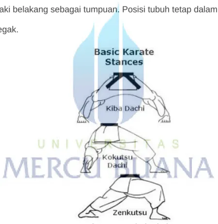 Gambar 3.4 Kuda-kuda karate 