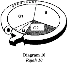 Diagram 10  Rajah 10 