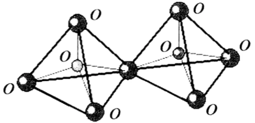 Gambar 2.1. Tetrahedra alumina dan silika (T04) pada struktur zeolit.