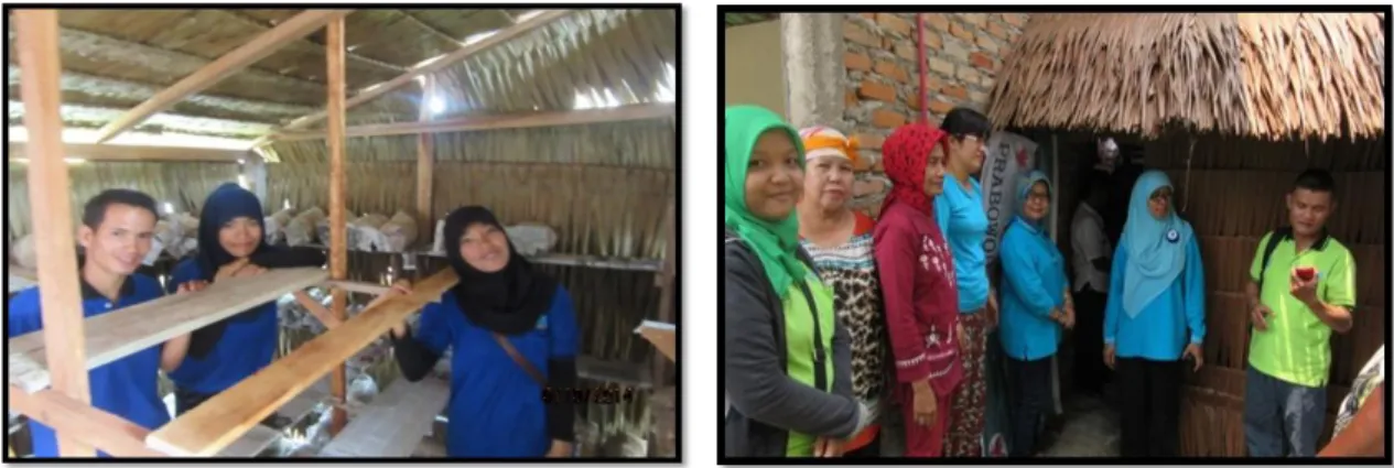 Gambar 2. Percontohan Rumah Jamur dengan Kapasitas 500 – 1000 baglog.