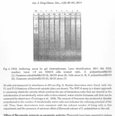 Fig. 4: DNA laddering assay by gel electrophoresis. Lane identification: Ml= lkb DNA 
