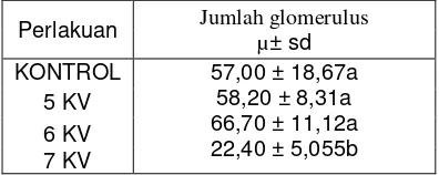 Tabel 3. Rata-rata jumlah penurunan glomerulus pada mencit jantan 