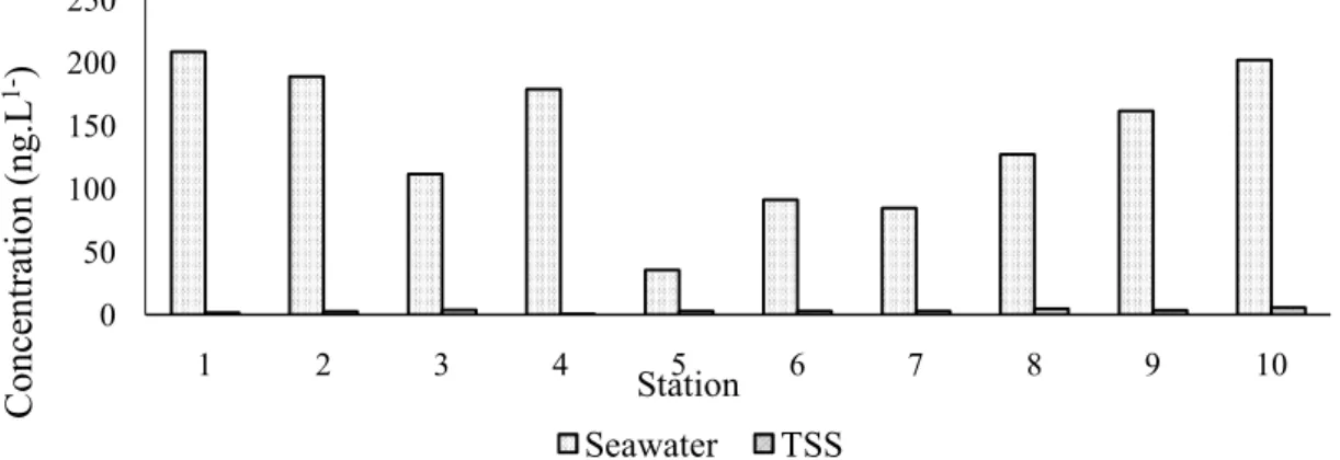 Gambar 2. Konsentrasi total PAH dalam air laut dan TSS di sepuluh stasiun sampling di perairan Cilincing,  Teluk Jakarta