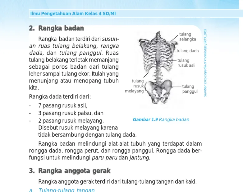 Gambar 1.9 Rangka badan