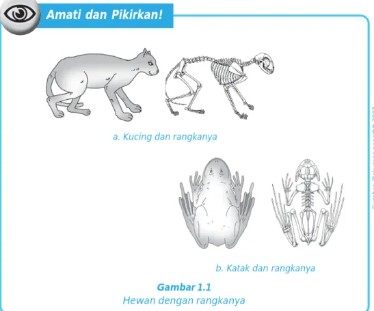Gambar 1.1 Hewan dengan rangkanya