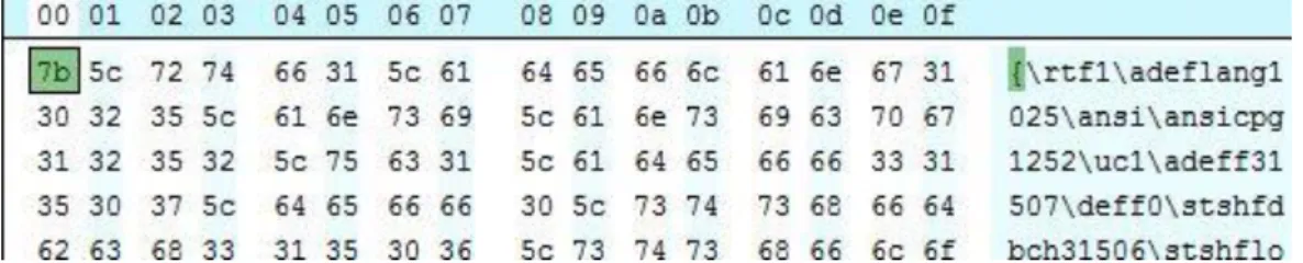 Gambar 2.5. Contoh rangkaian hex number dari random RTF 