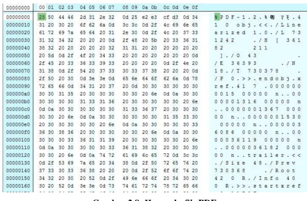 Gambar 2.8. Hex pada file PDF 