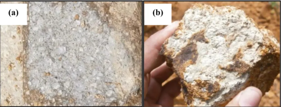 Gambar  2.  Sampel  batuan  dari  gunung  Wungkal,  (a)  Dasit  horblenda  alterasi  lemah (GD_09_RO), dan (b)