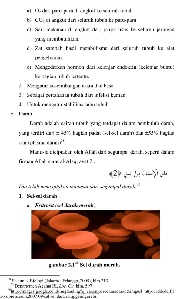 gambar 2.1 40  Sel darah merah. 