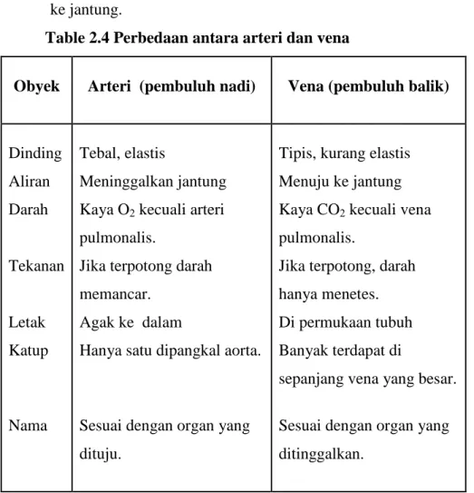 Table 2.4 Perbedaan antara arteri dan vena    