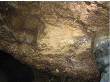 Gambar 2.12 Singkapan Tufa 