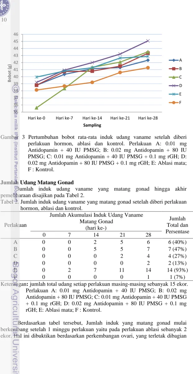 Gambar  3  Pertumbuhan  bobot  rata-rata  induk  udang  vaname  setelah  diberi  perlakuan  hormon,  ablasi  dan  kontrol