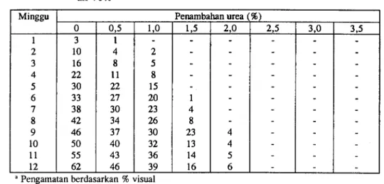Tabel 2. Pengamatan' kontaminasi jamur pada rumput lapangan dengan kadar air 70%