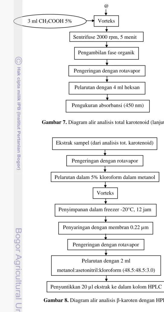 Total Karotenoid Skripsi Kajian Kandungan Senyawa Karotenoid Antosianin Dan Asam Askorbat Pa 2081