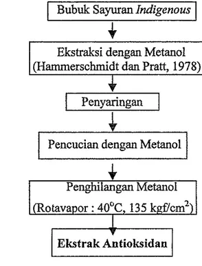 Gambar  13.  Bagan alir proses ekstraksi komponen antioksidan 