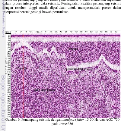 Gambar 6. Penampang seismik dengan bandpass filter 15-30 Hz dan AGC 750 