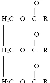 Gambar 3. Rumus kimia trigliserida 