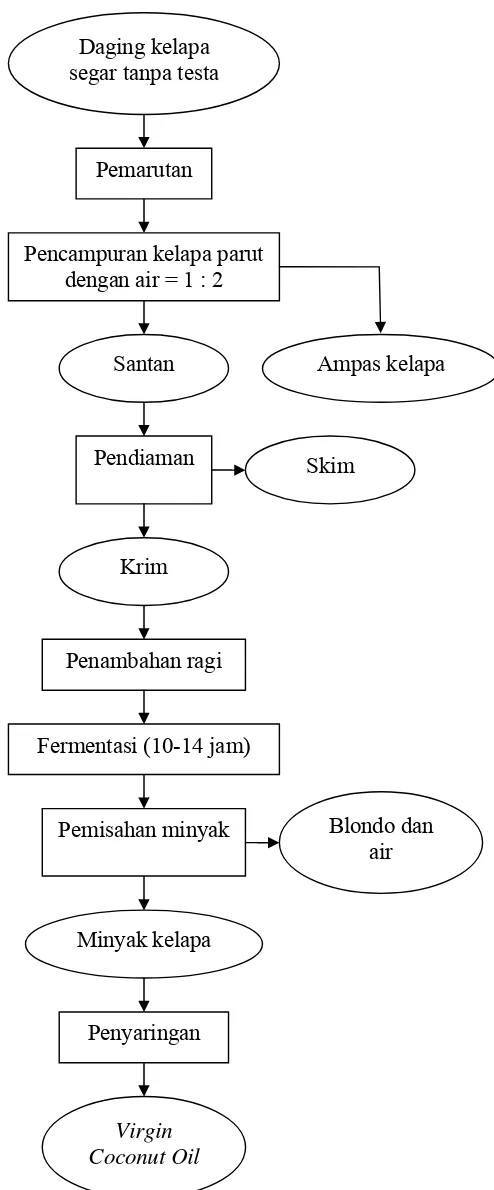 Gambar 5. Diagram alir proses pengolahan VCO dengan cara penambahan ragi (Alam Syah, 2005 ; Setiaji dan Prayugo, 2006) 