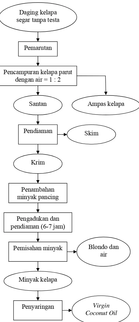 Gambar 6. Diagram alir proses pengolahan VCO dengan cara penambahan minyak pemancing  (Alam Syah, 2005)  
