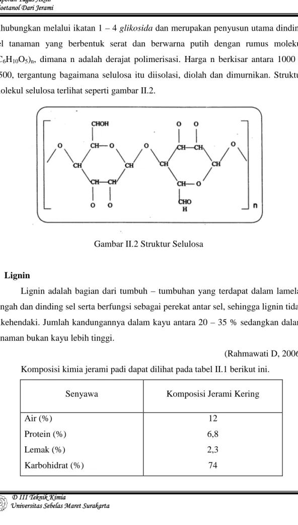Gambar II.2 Struktur Selulosa 