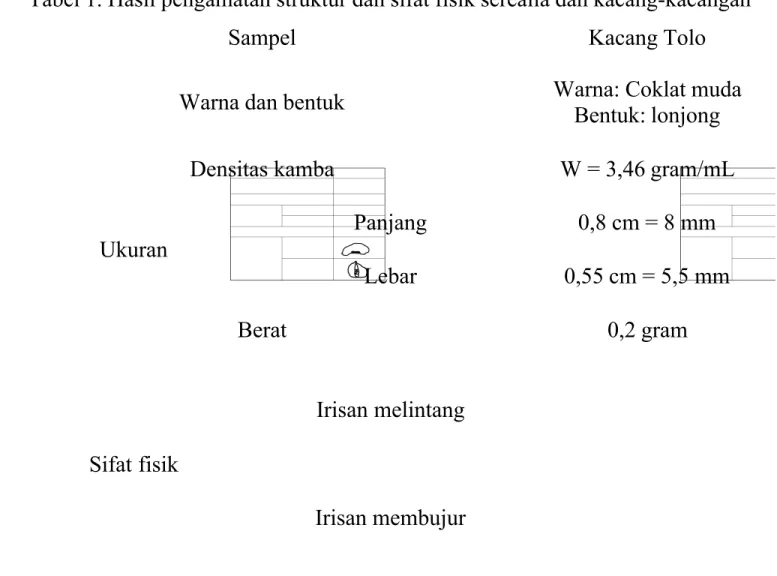Tabel 1. Hasil pengamatan struktur dan sifat fisik serealia dan kacang-kacangan