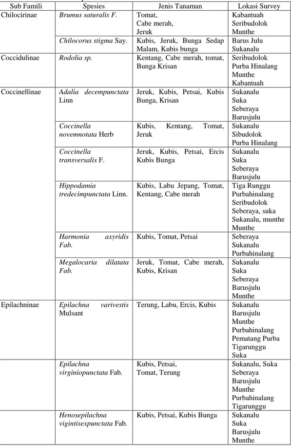 Tabel 2.  Hasil Identifikasi Spesies Famili Coccinellidae  