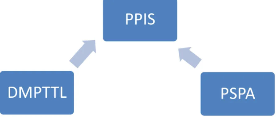 Gambar 3-2 Hubungan antara program teknis (PPIS) dengan program generik (DMPTTL  dan PSPA) 