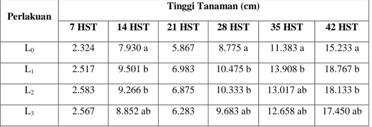 Tabel 1.Pengaruh limbah cair tahu pada tinggi tanaman   Perlakuan  Tinggi Tanaman (cm)  7 HST  14 HST  21 HST  28 HST  35 HST  42 HST  L 0 2.324  7.930 a  5.867  8.775 a  11.383 a  15.233 a  L 1 2.517  9.501 b  6.983  10.475 b  13.908 b  18.767 b  L 2 2.58