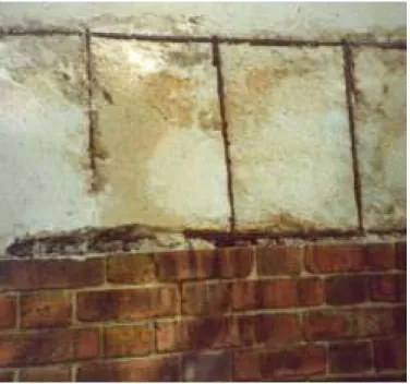 Gambar 4.7.  Beton yang terkarbonisasi berwarna pink  (http://www.understanding-cement.com/images/ppslab.jpg)  