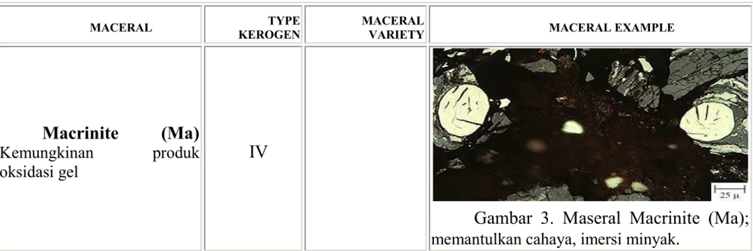 Tabel 3) Maceral Macrinite 