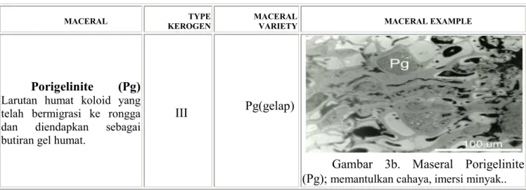 Tabel 3b) Maseral Porigelinite 