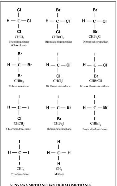 Gambar II.1  Jenis senyawa trihalomethanes 