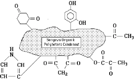 Gambar II.3  Model struktur senyawa humus. 