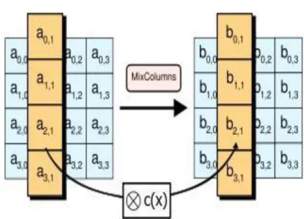 Gambar 2. 15 : Tahap  MixColumns