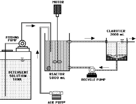 Gambar VIII.5  Skema proses penguraian atau penghilangan deterjen secara biologis di dalam  reactor bench scale kontinyu