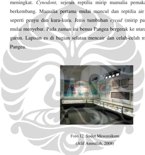 Foto 12. Sudut Mesozoikum  (Afif Amrullah, 2008) 
