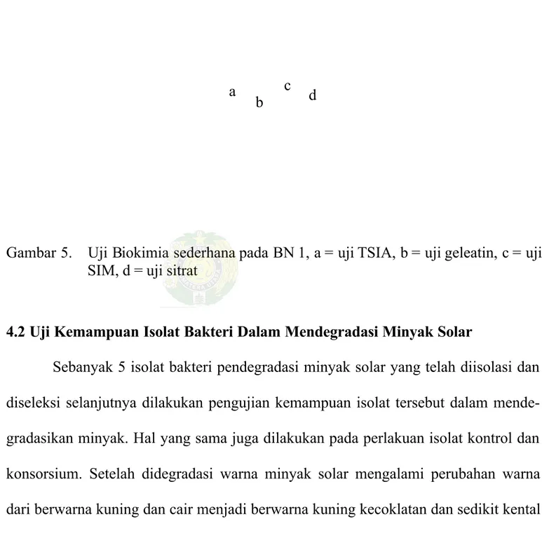 Gambar 5.  Uji Biokimia sederhana pada BN 1, a = uji TSIA, b = uji geleatin, c = uji SIM, d = uji sitrat