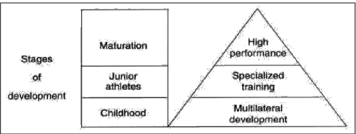 Gambar 2.1 Sequential Model for Long Term Athletic Training  Sumber : Bompa (2009: 32) 