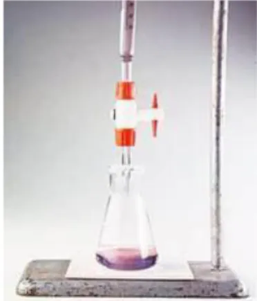 Gambar 1.1 Warna merah muda yang dihasilkan pada titik akhir tittrasi asam asetat dengan NaOH  Sumber: http://siskaapriyoannita.wordpress.com/2012/06/12/titrasi-asam-basa/ 