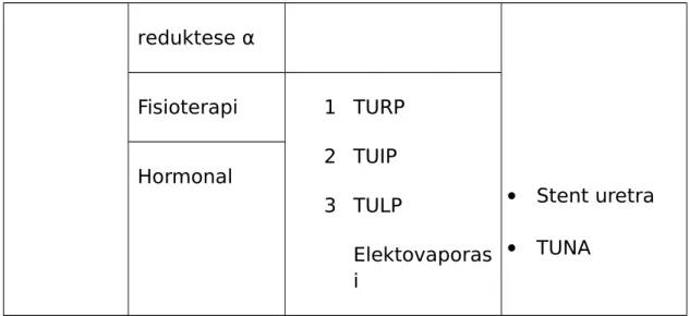 Tabel 3. Pilihan Terapi pada Hiperplasia Prostat Benigna