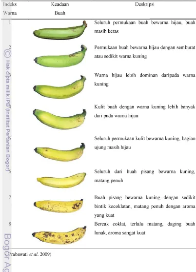 Tabel 2 Deskripsi kematangan buah pisang berdasarkan warna kulit 