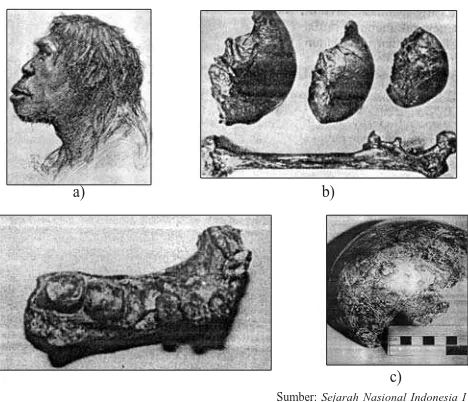 Gambar 4.7 (a) Manusia Mojokerto (Pithecanthropus mojokertensis), (b) tengkorak dan tulang paha Manusia Trinil(Pithecanthropus erectus); (c) tengkorak Manusia Trinil (Pithecanthropus erectus).