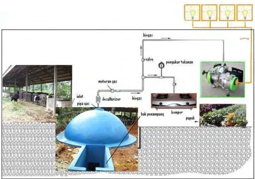 Gambar 14. Penempatan digester dan pemanfaatan biogas 