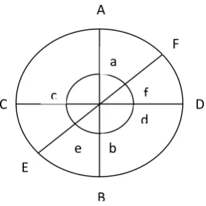 Gambar 4. Diagram Pengukuran Zona Hambat 