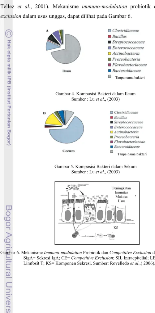 Gambar 4. Komposisi Bakteri dalam Ileum  Sumber : Lu et al., (2003) 