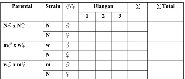 Tabel 4.7.1 Data Pengamatan F1 Dr Dr os osophil ophil a  a me melan lan oga ogas ste terr N♂  x  N♀,  m♂  x N♂  x  N♀,  m♂  x w♀ dan w♂ x m♀)