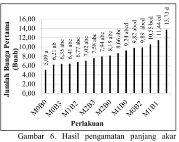 Gambar  6.  Hasil  pengamatan  panjang  akar  tanaman  cabai  hiyung  yang  diberi  perlakuan mikoriza arbuskular dan  biochar  tandan  kosong  kelapa  sawit