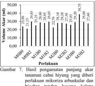 Gambar  7.  Hasil  pengamatan  panjang  akar  tanaman  cabai  hiyung  yang  diberi  perlakuan mikoriza arbuskular dan  biochar  tandan  kosong  kelapa  sawit