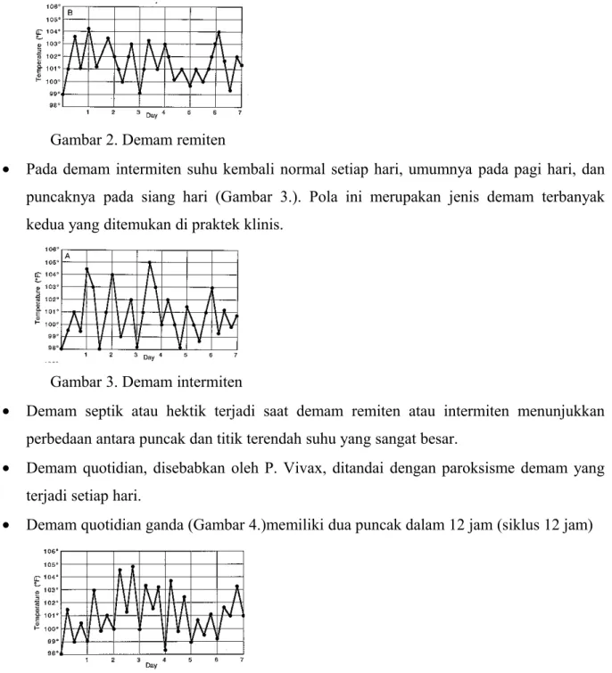 Gambar 2. Demam remiten