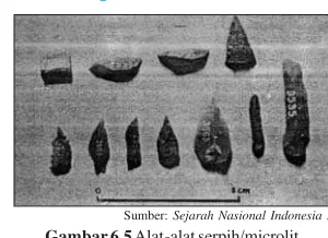 Gambar 6.5Alat-alat serpih/microlit